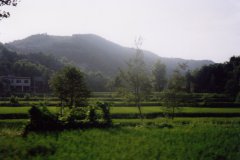 Qingcheng-Mountain_1