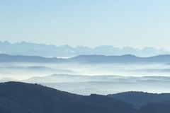 11-1San-Bao-Qigong-Ausbildung-5_Sommerwoche-an-der-Oder-1