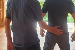 9-San-Bao-Qigong-Ausbildung-5_Sommerwoche-Lehrprobe-scaled